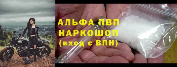 сатива Кинешма