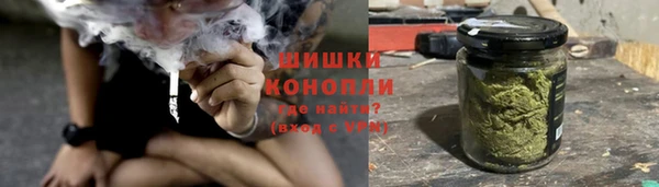 сатива Кинешма