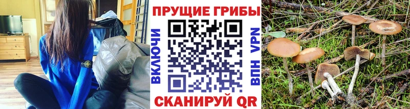 Псилоцибиновые грибы GOLDEN TEACHER  Купить где  Ельня 