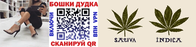 Конопля план  Купить  Ельня 